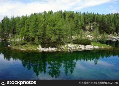 Forest and mountain lake in Triglav national park, Slovenia