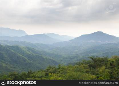 forest and mountain. The tree-covered slopes of the mountain area. Fertile area