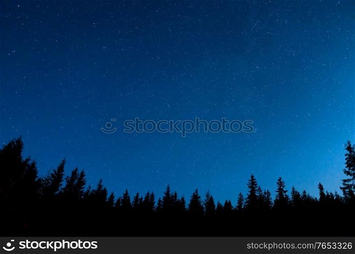 Forest and pine trees landscape under blue dark night sky with many stars, milky way cosmos background