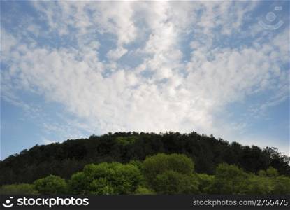 forest and sky.Marge of a wood with the effective sky with clouds