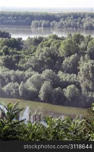 Forest and two rivers of Danube on the border of Croatia