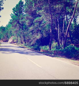 Forest Asphalt Road in Portugal, Instagram Effect