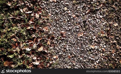 Forest bedding as nature background, copy space, autumnal nature concept.. Autumnal forest bedding as nature background.
