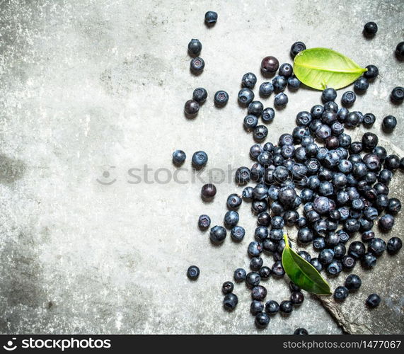 Forest blueberries with the older leaves . On a stone background.. Forest blueberries with the older leaves .