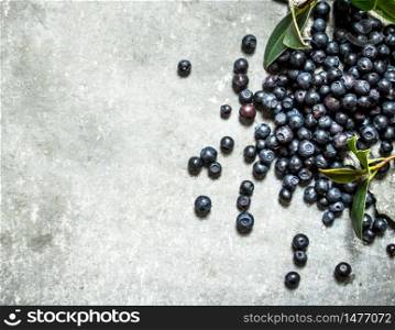 Forest blueberries with the older leaves . On a stone background.. Forest blueberries with the older leaves .