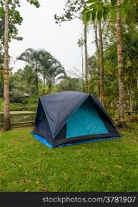 Forest Camping