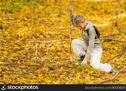 Forest exploration. Mindful woman exploring the forest on a beautiful autumn day. Forest exploration