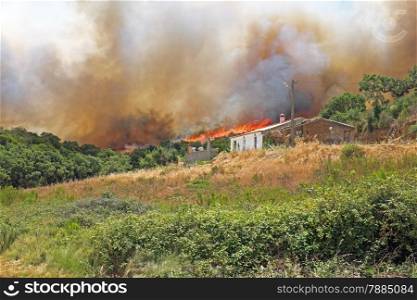 Forest fire burning a house in Portugal