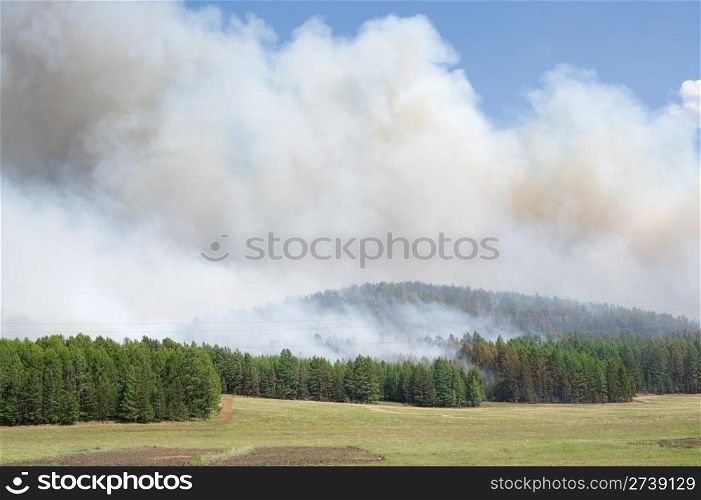 forest fire, clouds of smoke above