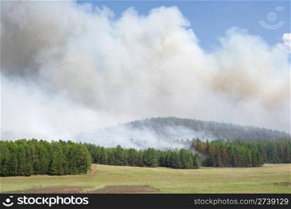 forest fire, clouds of smoke above