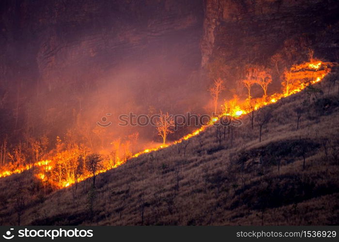 Forest fire on mountains.