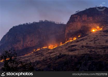 Forest fire on mountains.