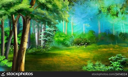 Forest glade on a sunny summer day. Digital Painting Background, Illustration.. Forest glade on a sunny summer day 2