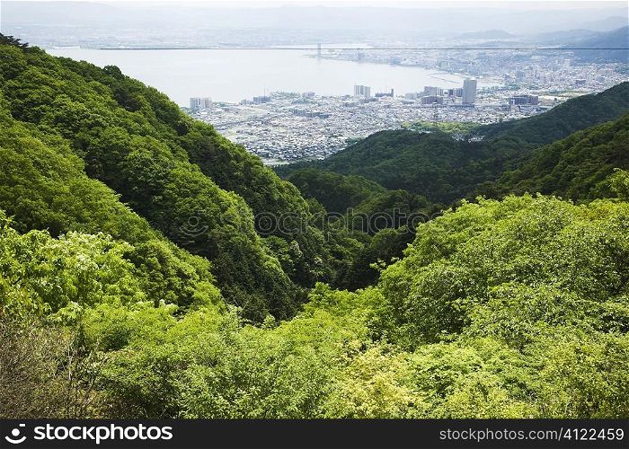 Forest hills overlooking urban city