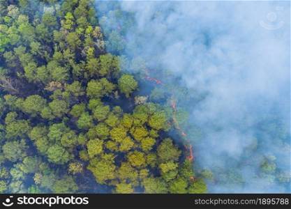 Forest in California with panoramic aerial wildfire is burning trees smoke fire dry grass. Forest in California with panorama aerial wildfire is burning trees dry grass