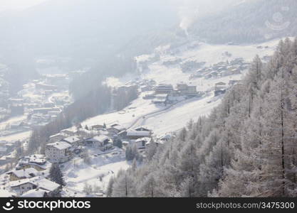 forest in snow an alpen top