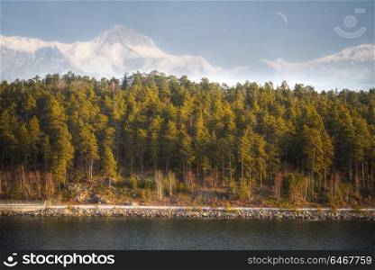 forest in the light of the setting sun in the background of mountains and rivers