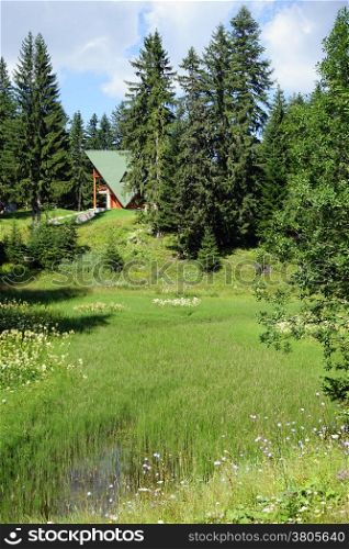 Forest lake and roof of house in Durmitor, Montenegro
