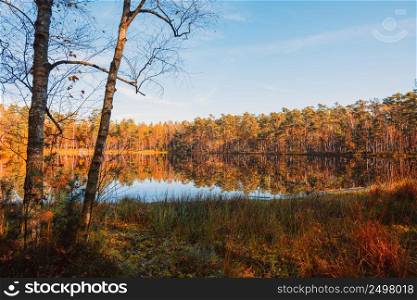 Forest lake at autumn with trees reflections in water fall landscape