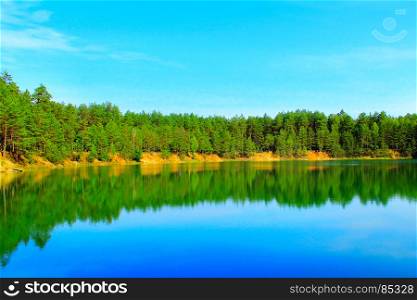 forest lake. beautiful landscape with picturesque lake in the forest
