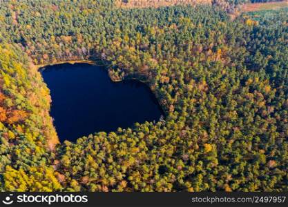 Forest lake in a shape of heart aerial view. Romantic love pond hidden place in autumn woods drone photo bird eye view.