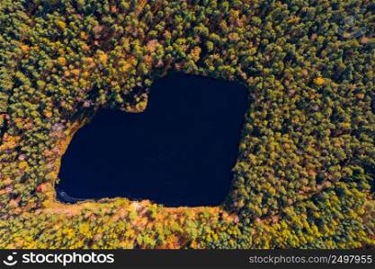Forest lake in a shape of heart. Romantic love pond hidden place in autumn woods drone aerial top view.