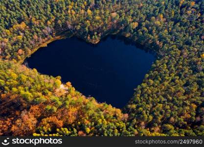 Forest lake in heart shape, romantic love hidden pond