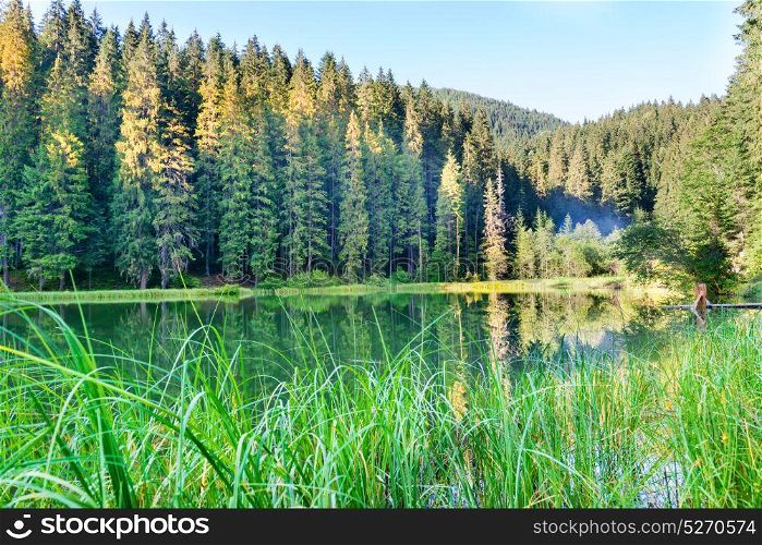 Forest lake in the mountains with blue water and morning light