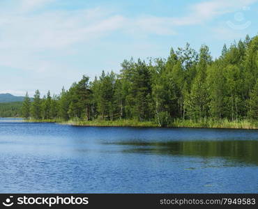 forest lake. karelia