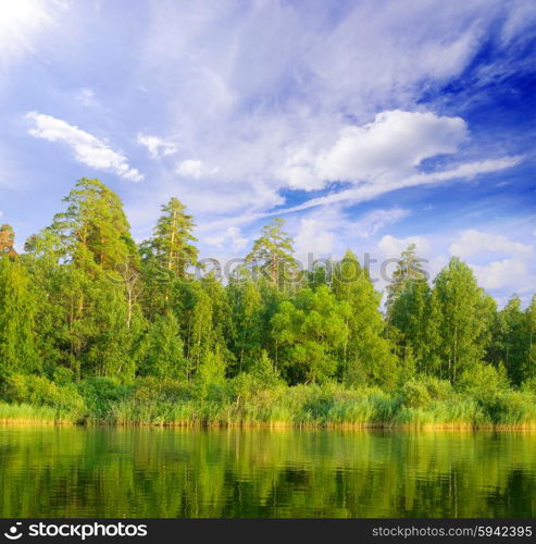 Forest lake under cloudy sky