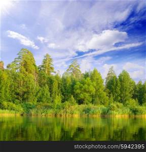 Forest lake under cloudy sky