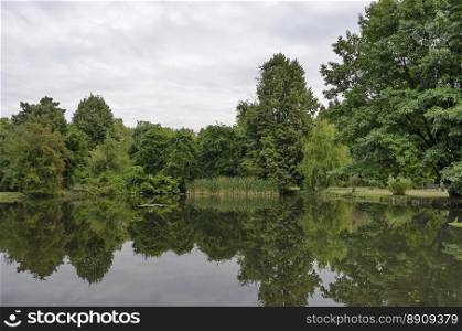 Forest, lake with reflection, reed or phragmites and water lily in National monument of landscape architecture Park museum Vrana in former time royal palace on the outskirts of Sofia, Bulgaria, Europe  