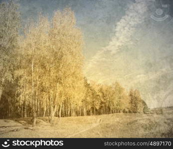 Forest landscape. Old picture with forrest landscape as a background