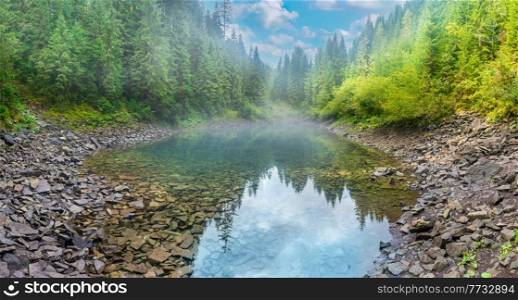 Forest misty blue lake panorama in autumn fall mist pine forest