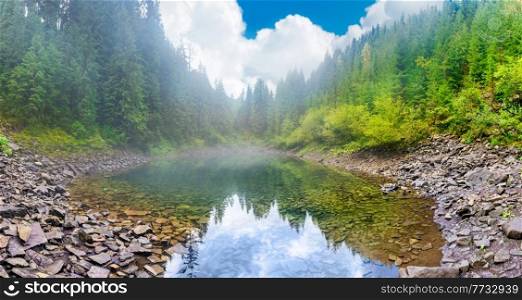 Forest misty blue lake panorama in autumn fall mist pine forest