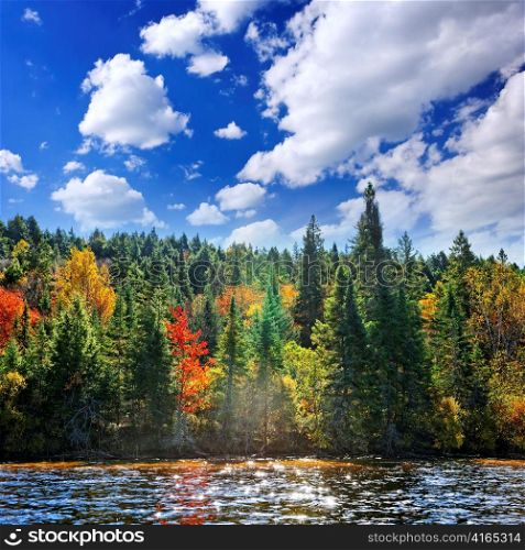 Forest of colorful autumn trees on sparkling lake