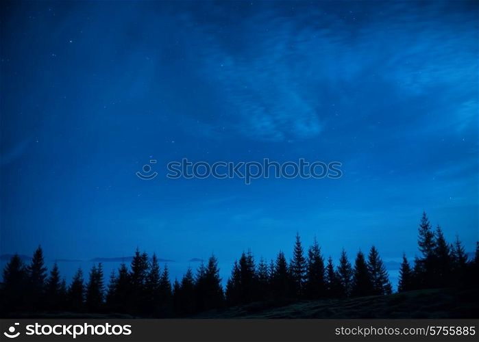 Forest of pine trees under blue dark night sky with many stars. Space background