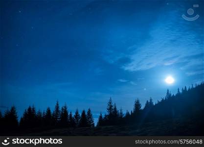 Forest of pine trees under moon and blue dark night sky with many stars. Space background