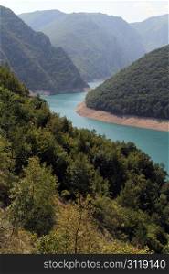 Forest on the bank of Piva lake, Montenegro