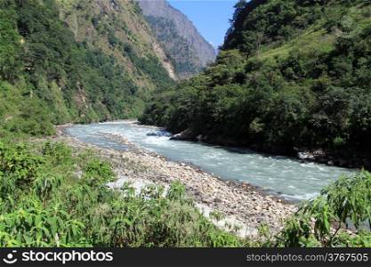 Forest on the mount and river in Nepal