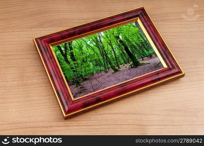 Forest on the picture frames