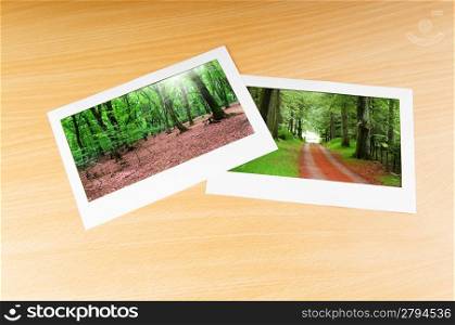 Forest on the picture frames