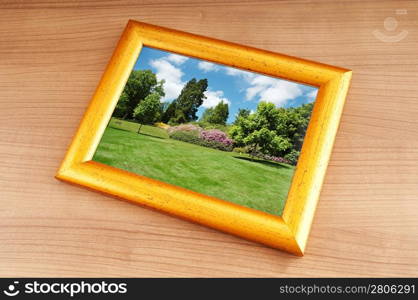 Forest on the picture frames