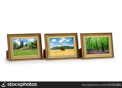 Forest on the picture frames