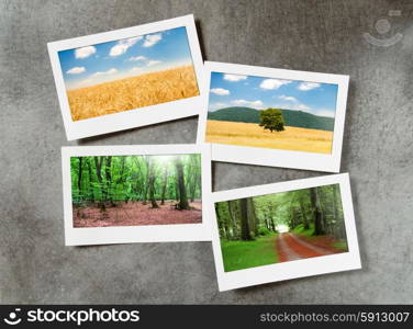 Forest on the picture frames