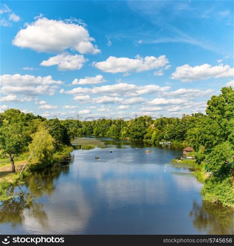 Forest on the river with blue sky and landscape of clouds