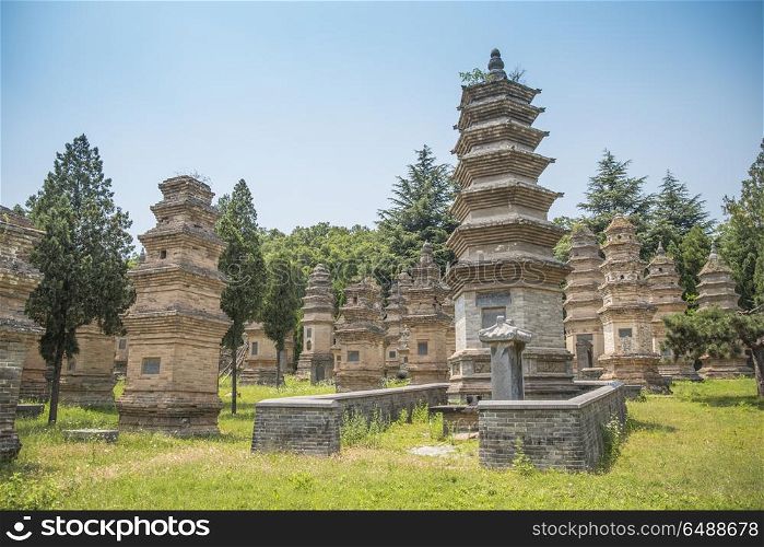 Forest pagodas of the Shaolin Monastery. China. Forest pagodas of the Shaolin Monastery.