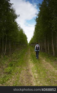 Forest path