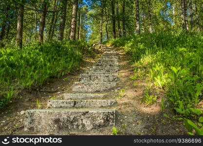 Forest Path, stone steps in the green woods. High quality photo. Forest Path, stone steps in the green woods.