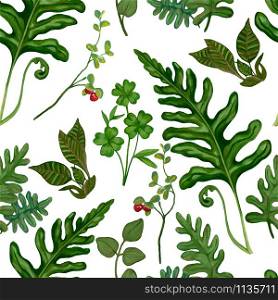 Forest plants seamless pattern. Different types of wild plants on a white background. Colorful botanical wallpaper. Realistic acrylic drawing. Vintage style.